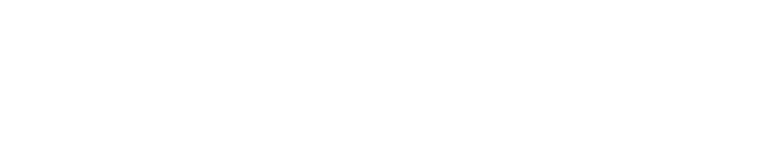 STEEZ-LTD.png